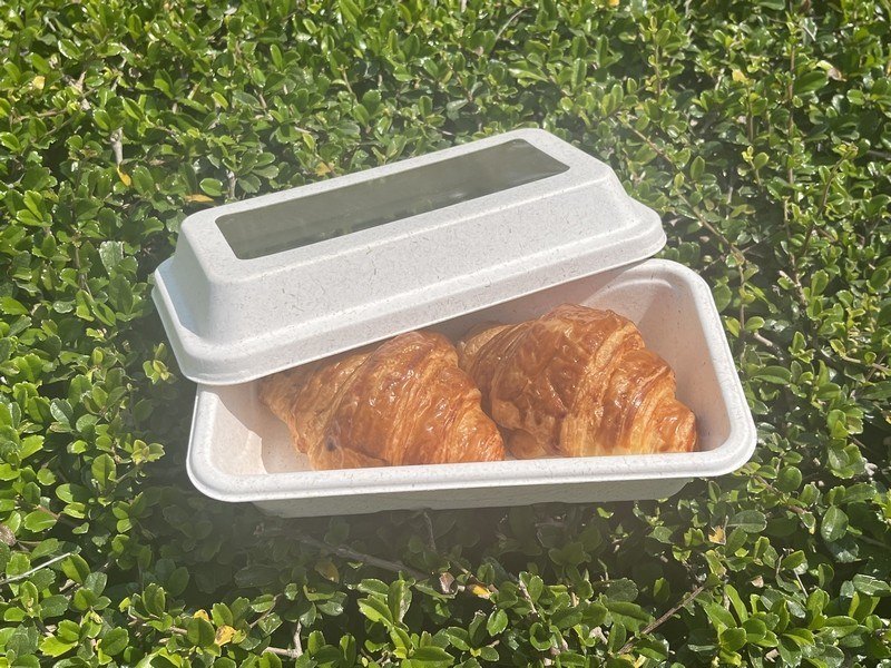 visible food container