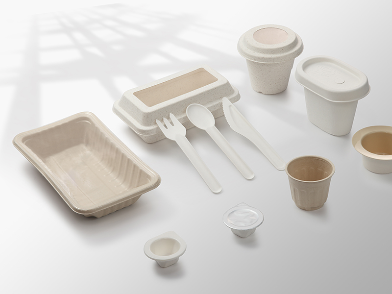 Breaking Free from Plastic: Exploring Sustainable Alternatives for Packaging