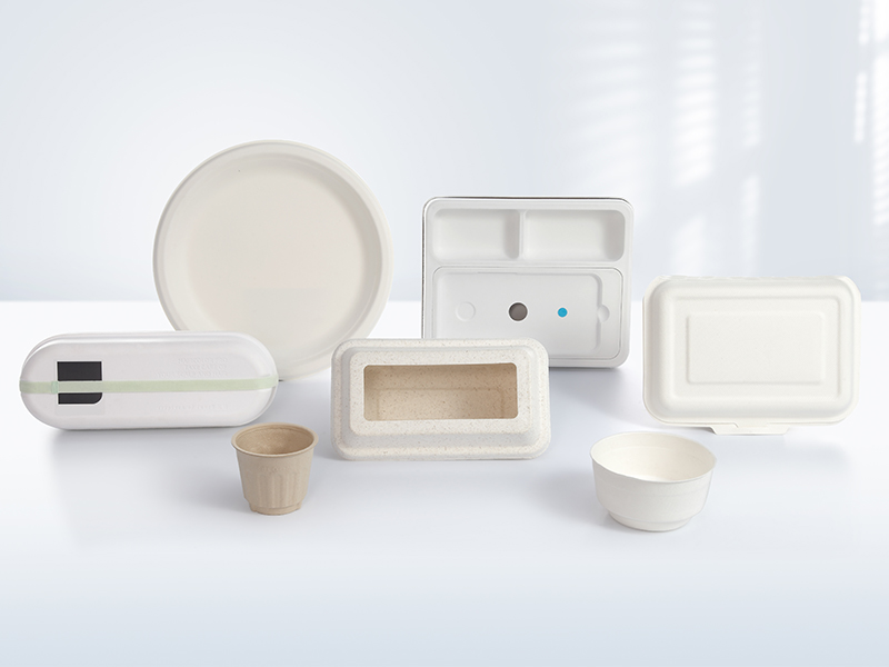 GLASS LUNCH BOX: SUSTAINABLE SOLUTION