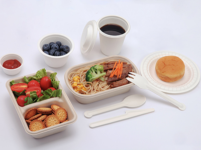 How Biodegradable Container is Revolutionizing the Catering Industry？