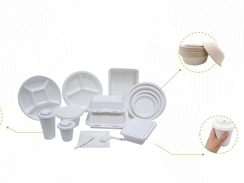 pulp molded biodegradable tableware