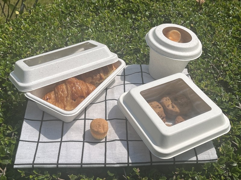 biodegradable camping food container