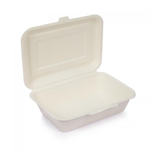 biodegradable take-out container