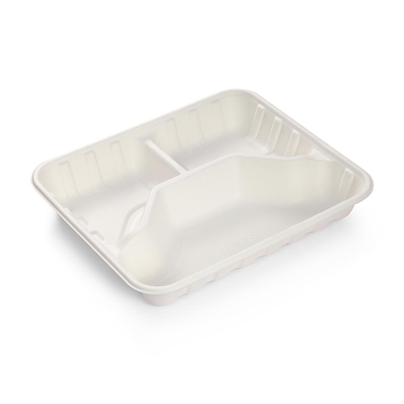 Compostable take out container