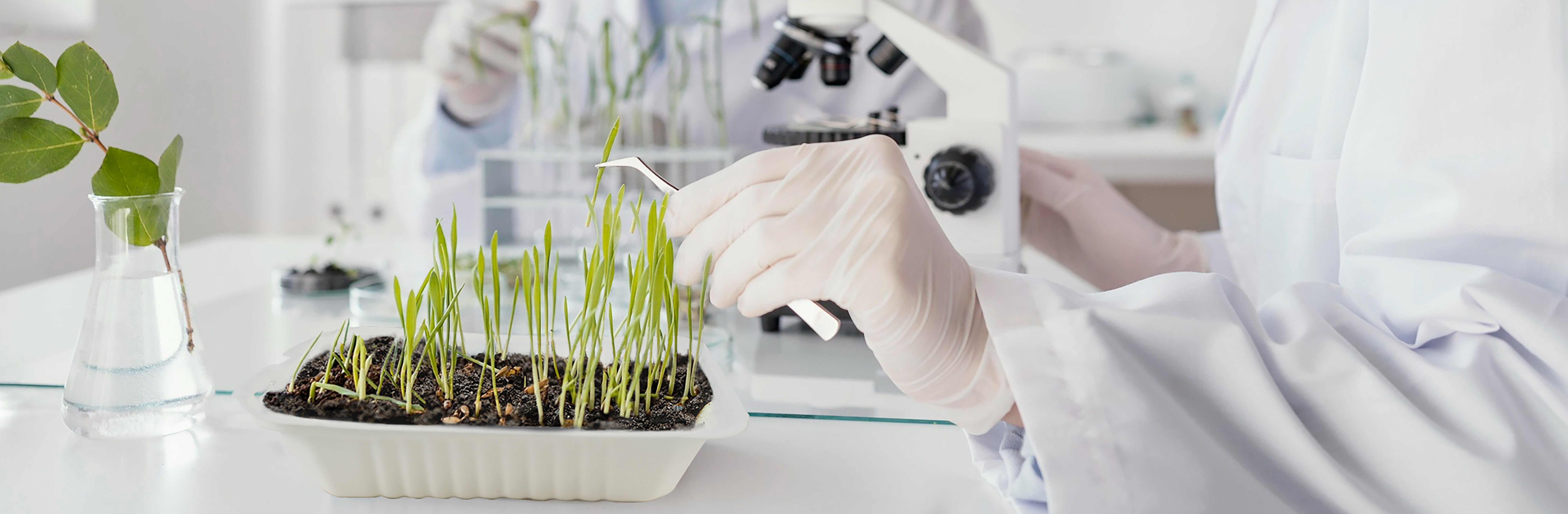 New Biodegradable Material Solution