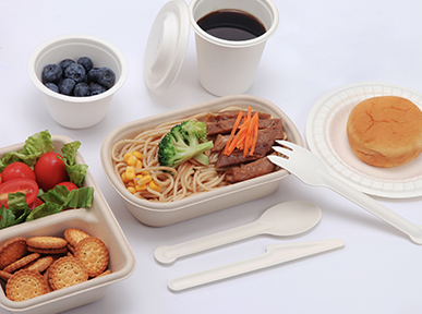 Plant Fiber Catering Packaging