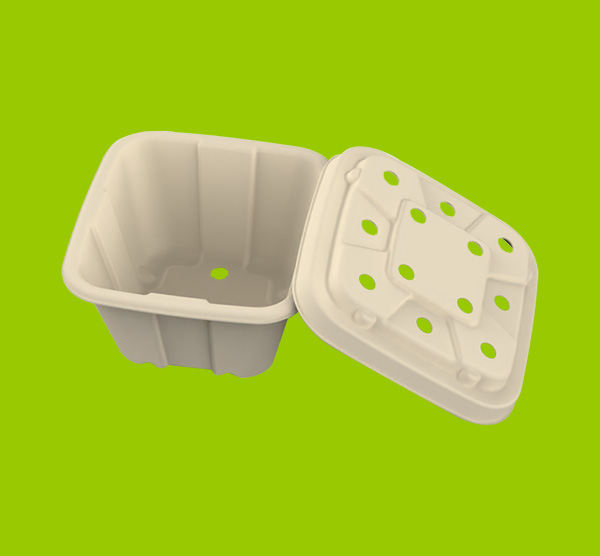 Cold-chain transportation solution