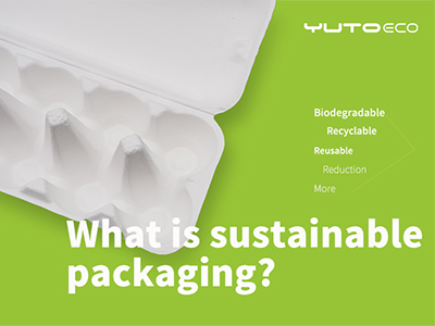 Exploring the infinite possibilities of sustainable packaging