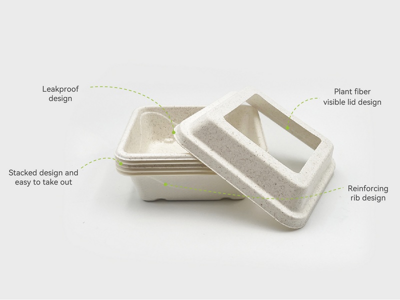 Takeaway Food Packaging: Green and Sustainable Solutions