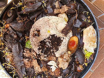 The difference between biodegradation and compost, which one is better for ecology?
