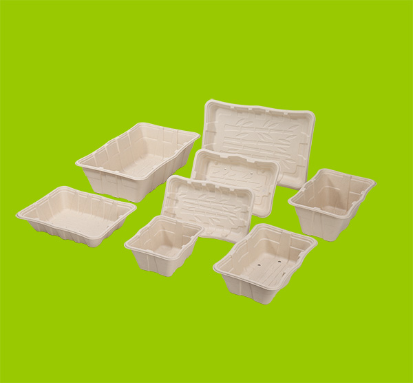 Eco-friendly Tray for Produces and Meats