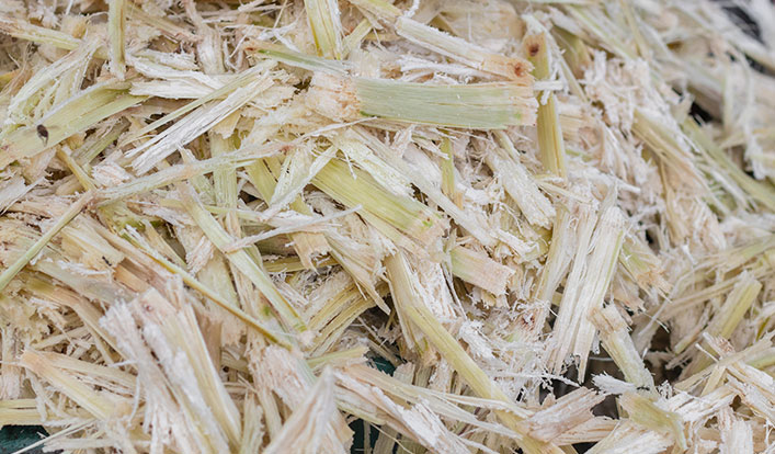 Why choose sugarcane pulp board?
