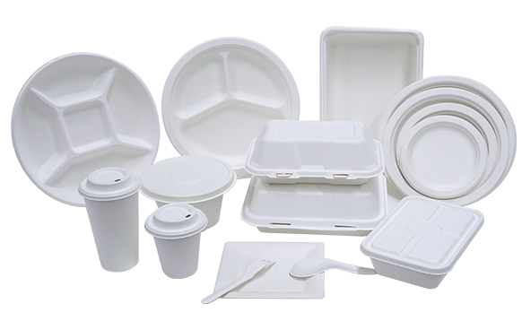 Plant Fiber Catering Packaging